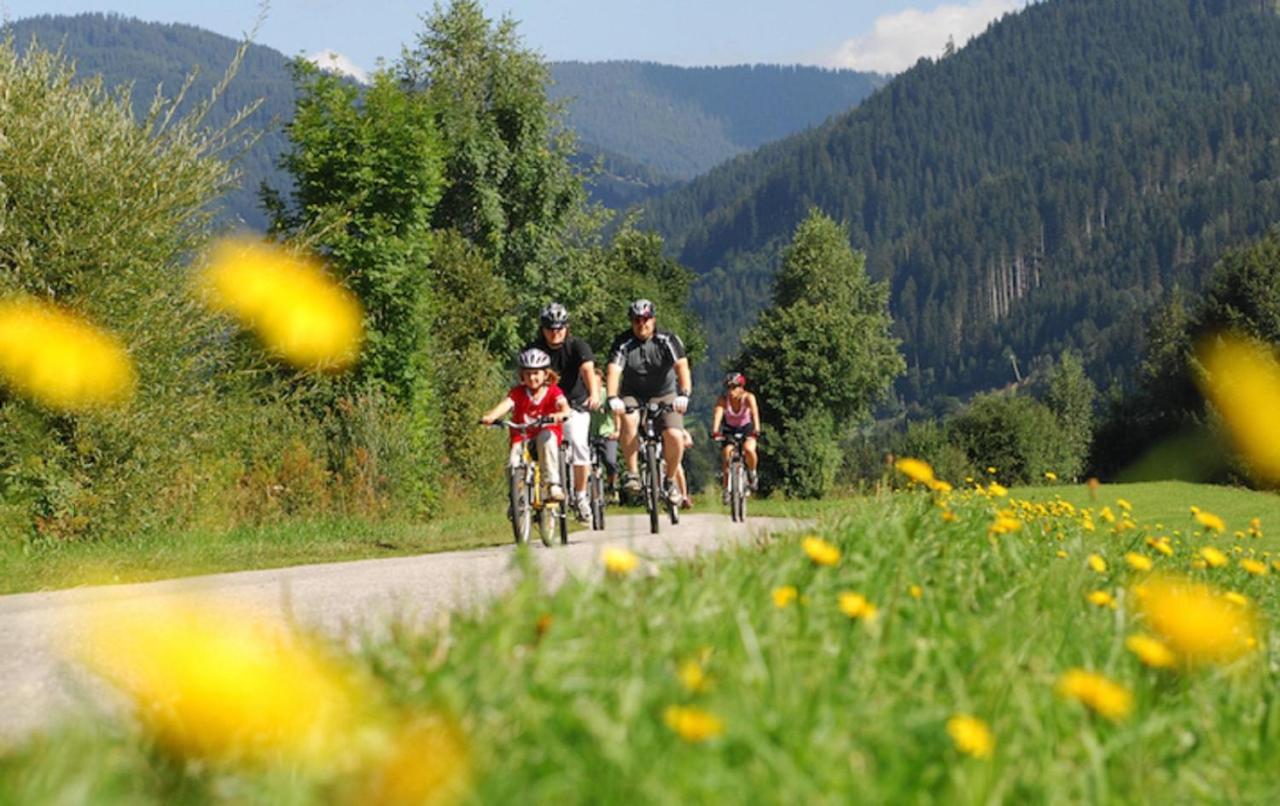 Ferienhaus Altenmarkt, Kaulfersch Altenmarkt im Pongau Luaran gambar